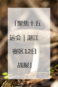 聚焦十五运会｜湛江赛区12日战报